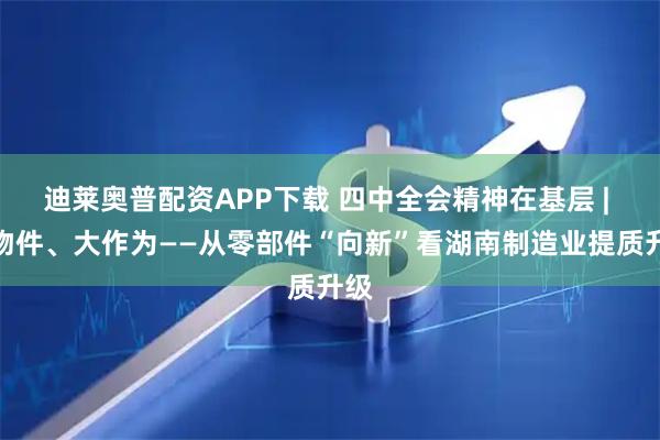 迪莱奥普配资APP下载 四中全会精神在基层 | 小物件、大作为——从零部件“向新”看湖南制造业提质升级