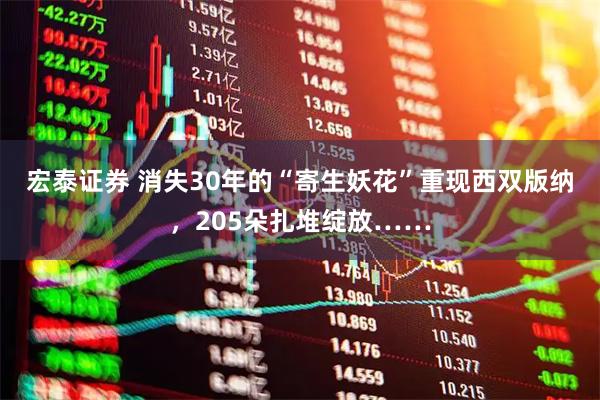 宏泰证券 消失30年的“寄生妖花”重现西双版纳，205朵扎堆绽放……