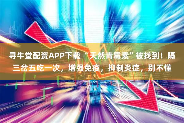 寻牛堂配资APP下载 “天然青霉素”被找到！隔三岔五吃一次，增强免疫，抑制炎症，别不懂
